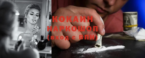 индика Алексеевка